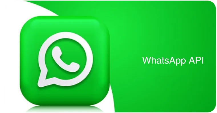 The Complete Guide to WhatsApp API and Benefits in 2025