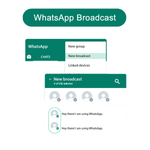 whatsapp broadcast