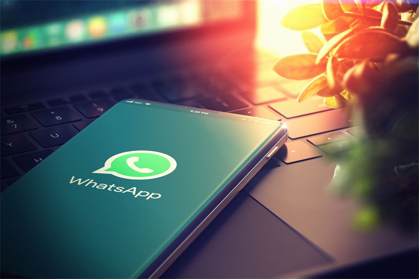 whatsapp bulk send